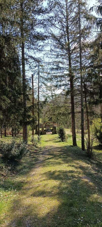 Casale La Pineta Apartamento Mombaroccio Exterior foto