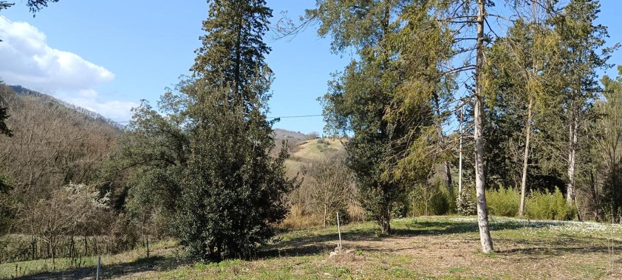 Casale La Pineta Apartamento Mombaroccio Exterior foto